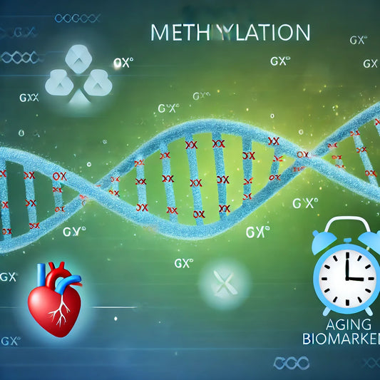 Unlocking the Secrets of Longevity: Comprehensive Genetic Methylation Testing for Aging Biomarkers