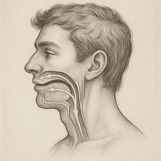 MEWING: The Subtle Art of Sculpting Your Face, Breath, and Longevity