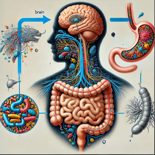 Unraveling the Gut-Brain Connection: How Gut Health Affects Our Moods and Mental Health